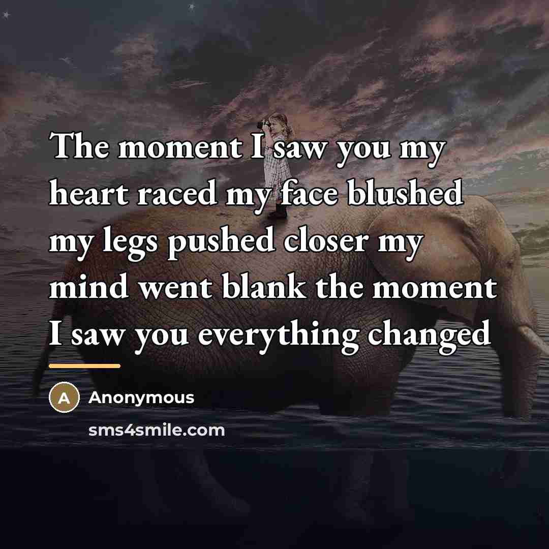 “The moment I saw you my heart raced my face…” quote by Anonymous