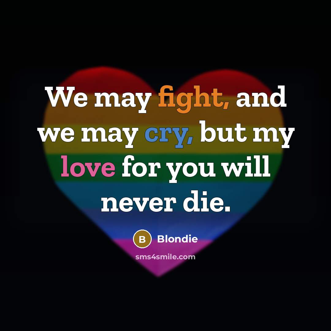 “We may fight, and we may cry, but my love…” quote by Blondie