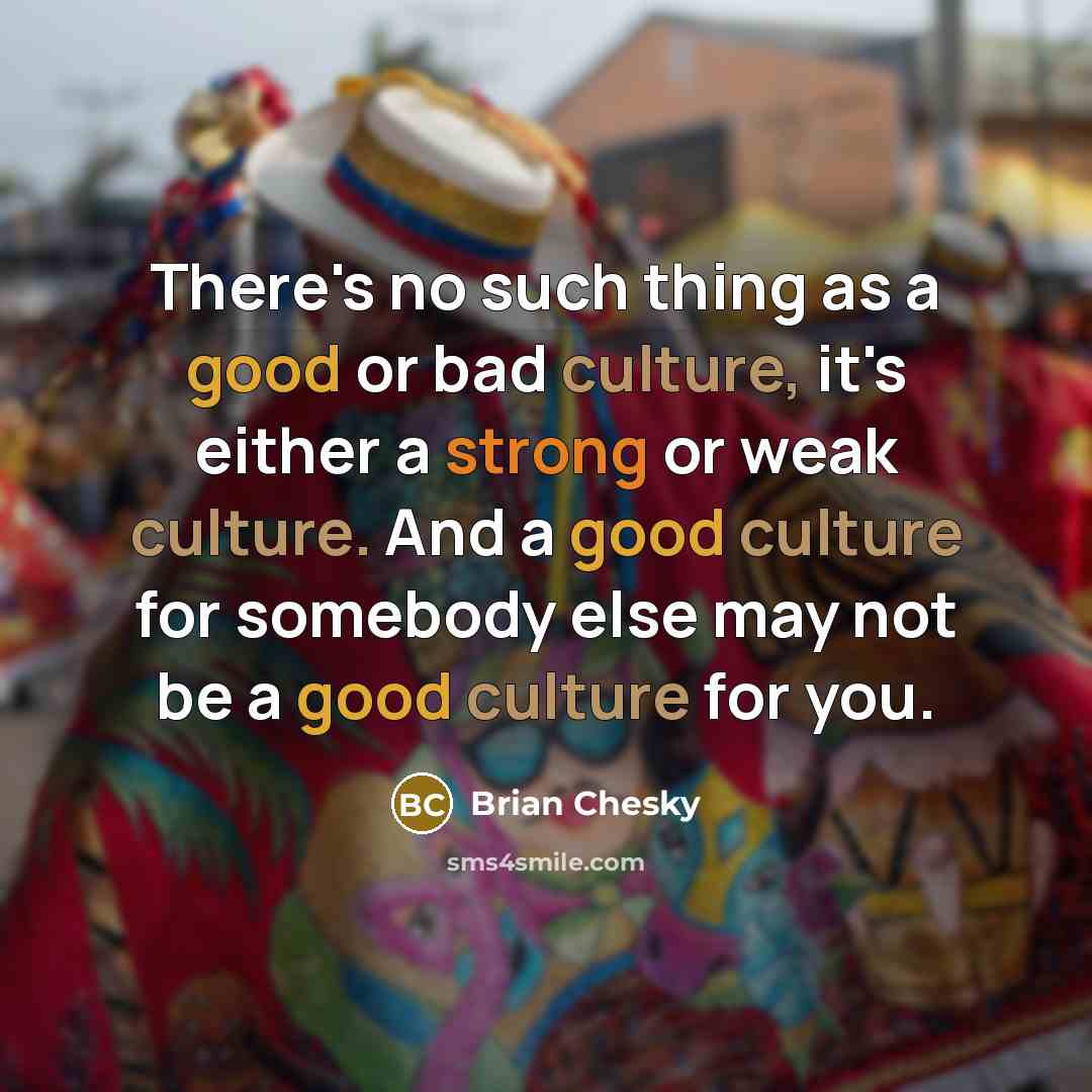 “There's no such thing as a good or bad culture,…” quote by Brian Chesky
