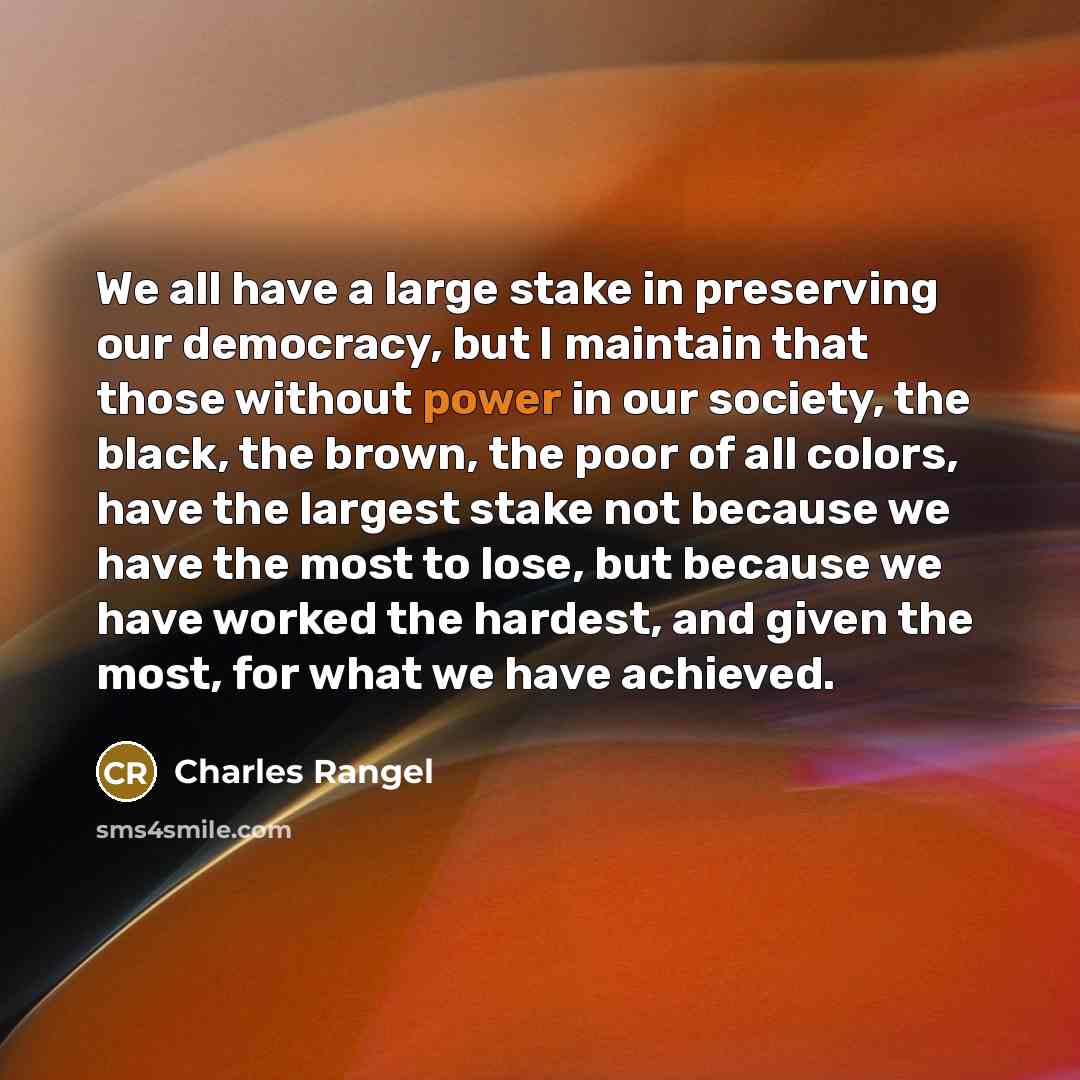 “We all have a large stake in preserving our democracy,…” quote by Charles Rangel