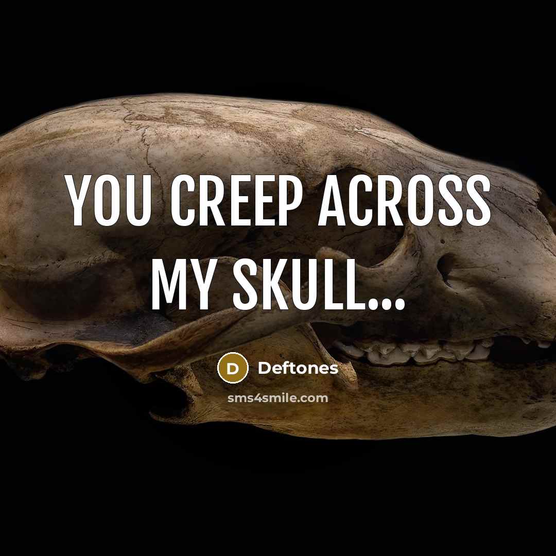 “You creep across my skull...…” quote by Deftones