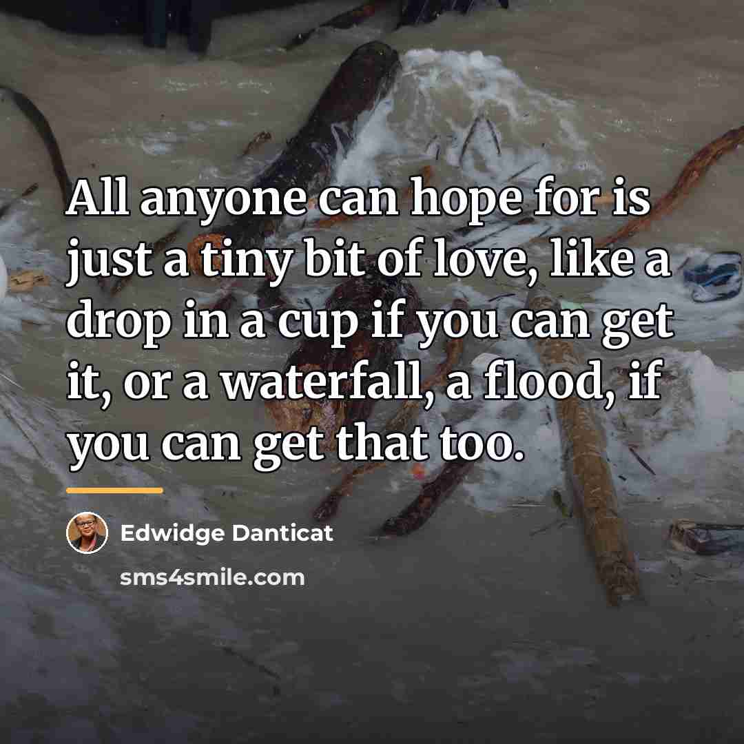 “All anyone can hope for is just a tiny bit…” quote by Edwidge Danticat