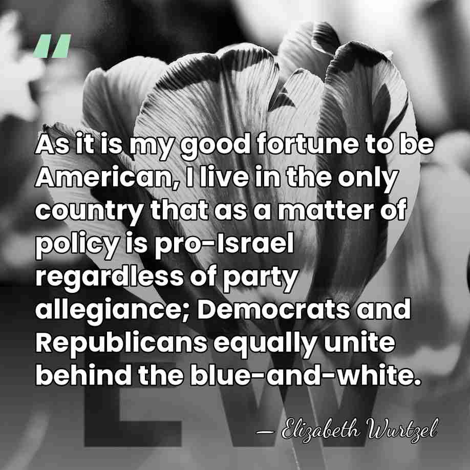 As it is my good fortune to be American, I live in&hellip; - Elizabeth Wurtzel