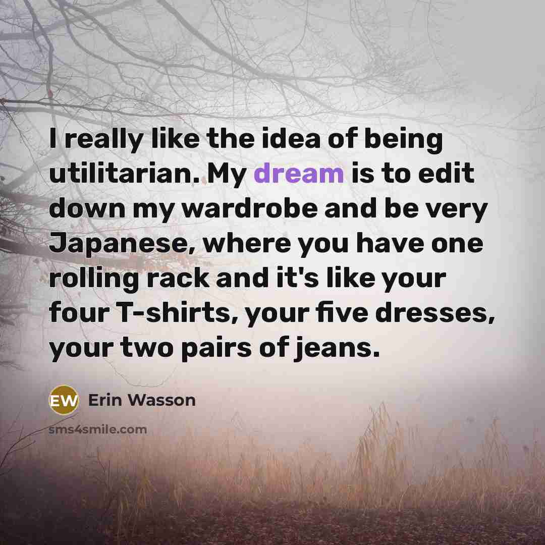 “I really like the idea of being utilitarian. My dream…” quote by Erin Wasson