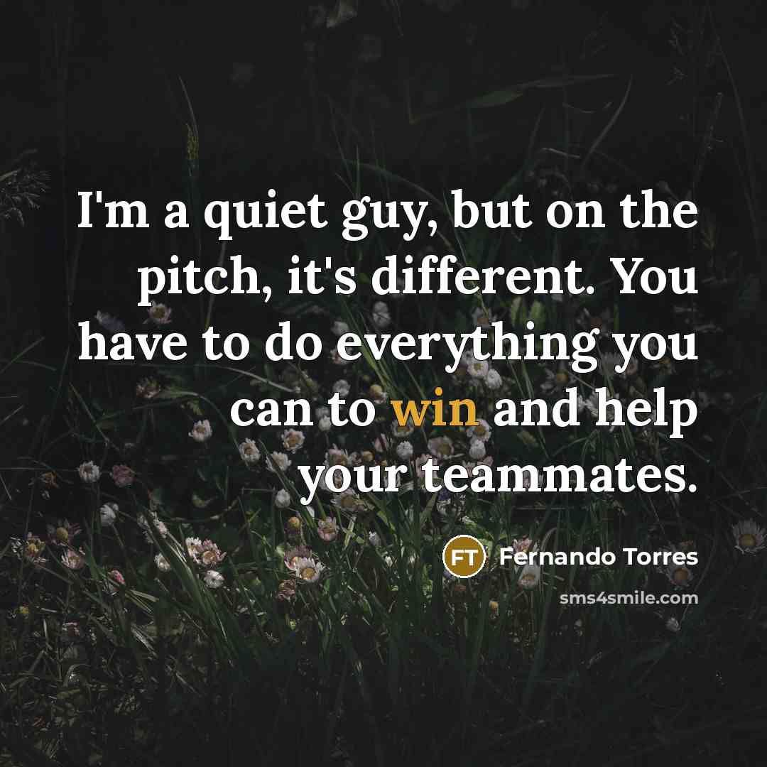 “I'm a quiet guy, but on the pitch, it's different.…” quote by Fernando Torres