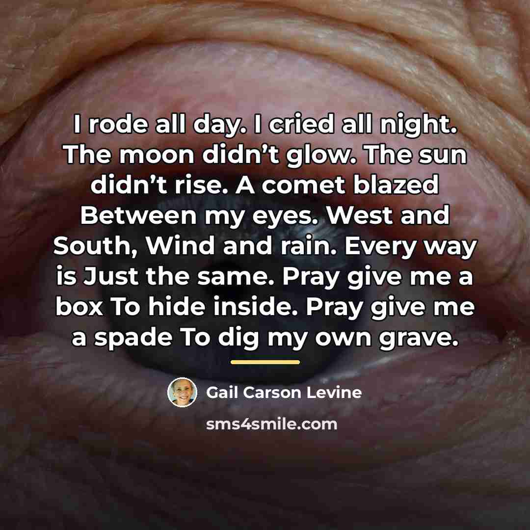 “I rode all day. I cried all night. The moon…” quote by Gail Carson Levine