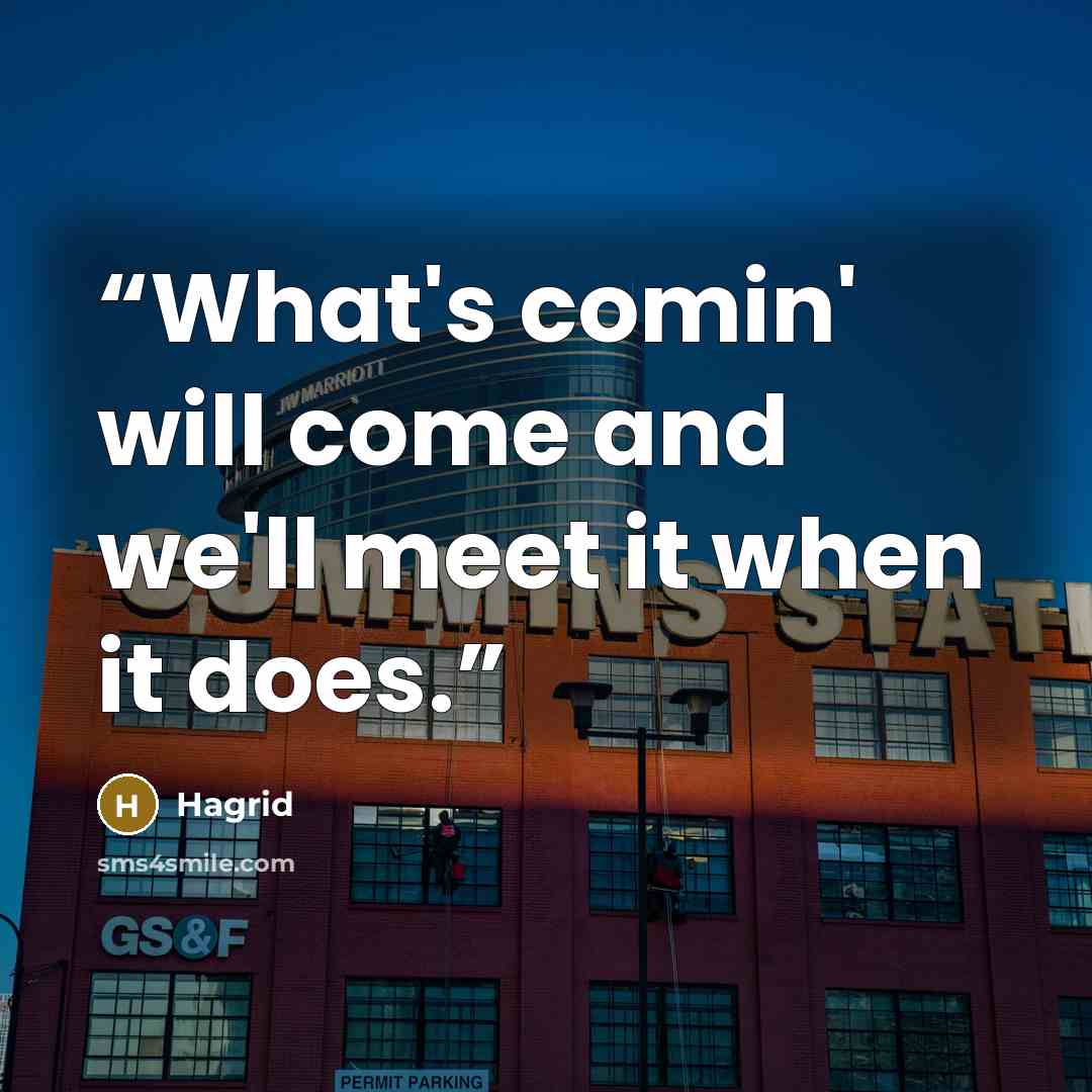 “What's comin' will come and we'll meet it when it does.” quote by Hagrid
