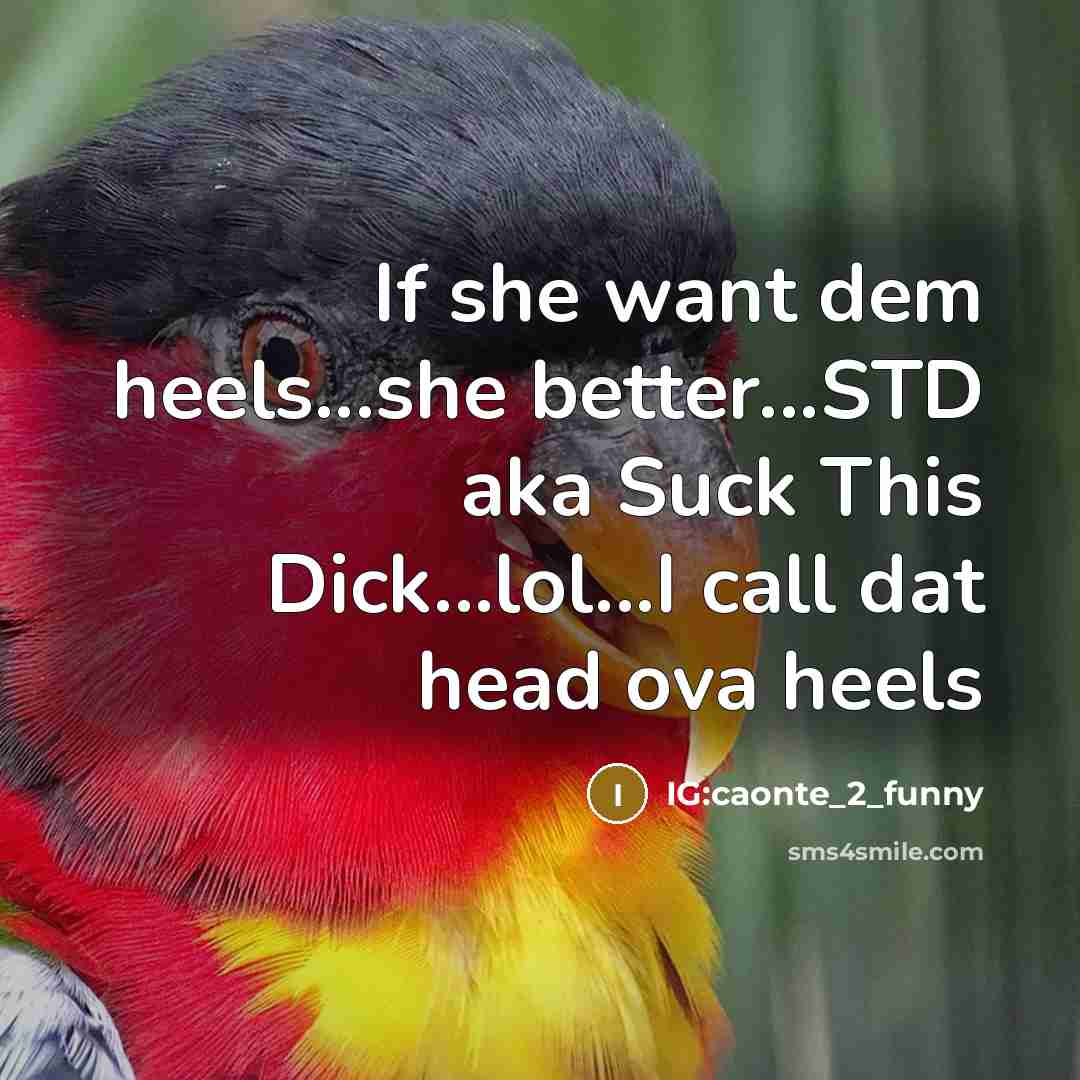 “If she want dem heels...she better...STD aka Suck This Dick...lol...I…” quote by IG:caonte_2_funny