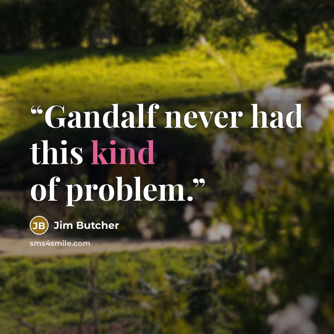 “Gandalf never had this kind of problem.” quote by Jim Butcher