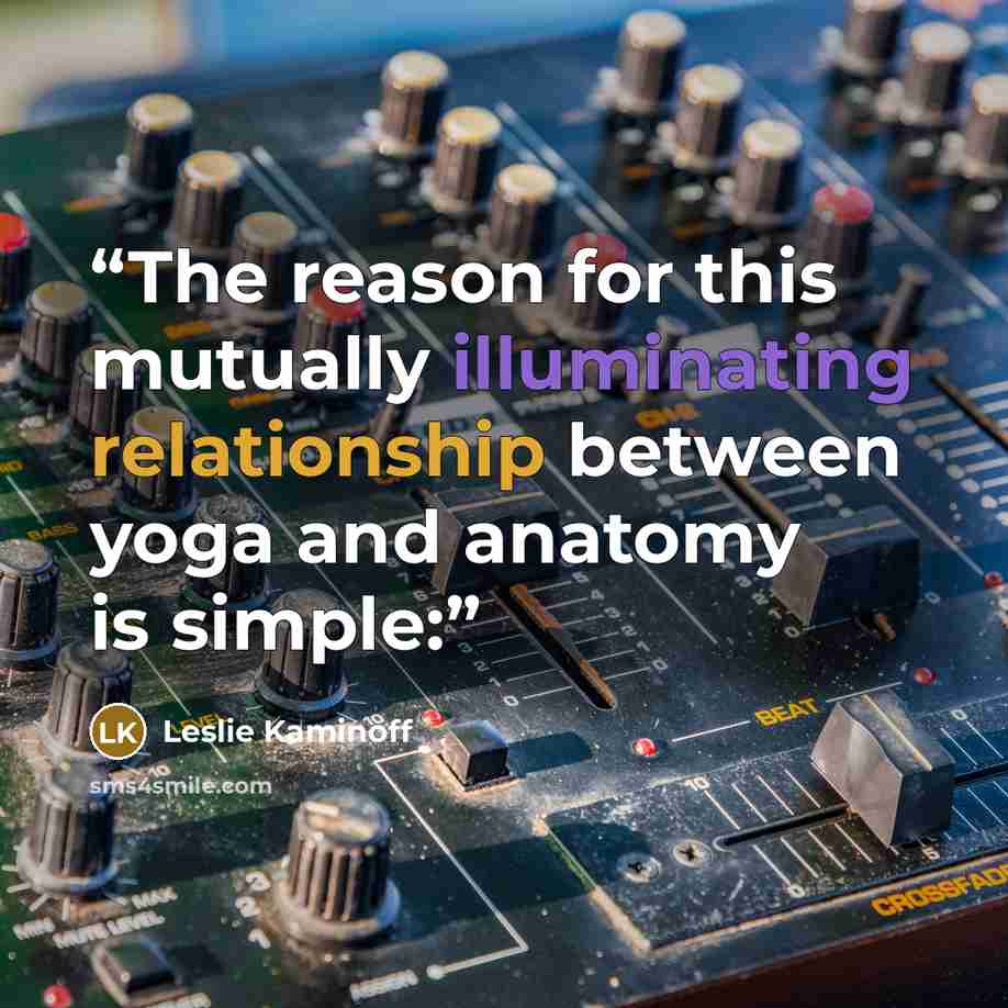 “The reason for this mutually illuminating relationship between yoga and anatomy is simple:” quote by Leslie Kaminoff
