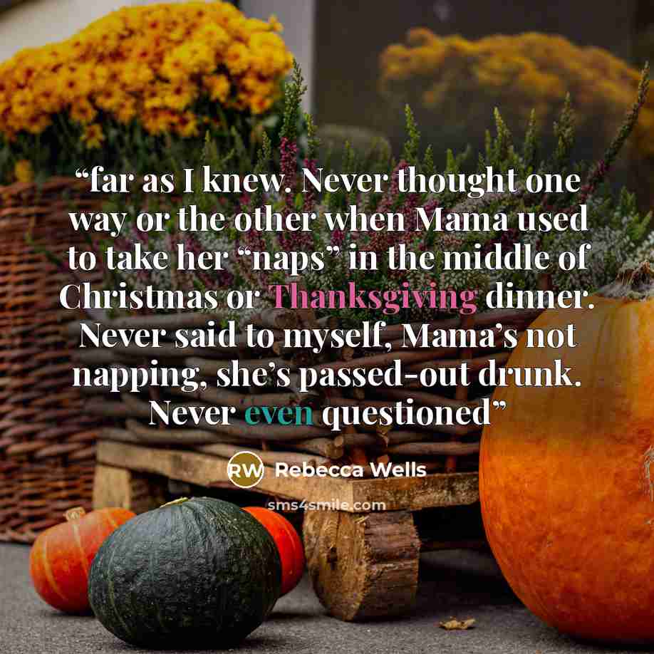 “far as I knew. Never thought one way or the other when Mama used to take her “naps” in the middle of Christmas or Thanksgiving dinner. Never said to myself, Mama’s not napping, she’s passed-out drunk. Never even questioned” quote by Rebecca Wells