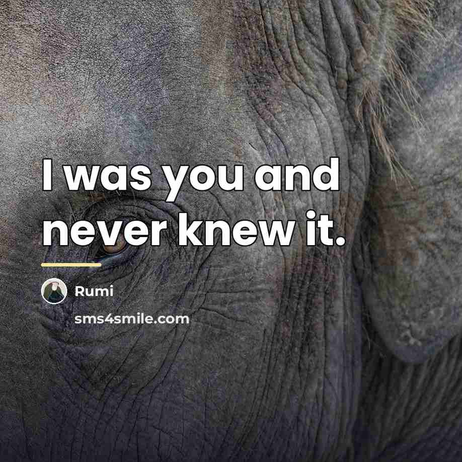 “I was you and never knew it.…” quote by Rumi