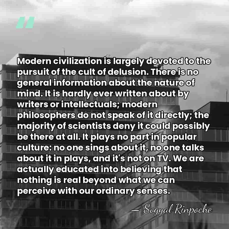 Modern civilization is largely devoted to the pursuit of the cult of&hellip; - Sogyal Rinpoche