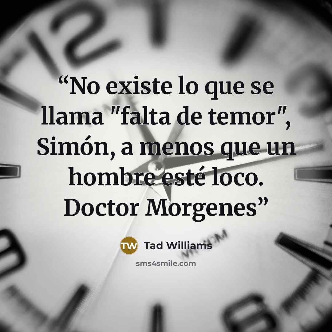 “No existe lo que se llama "falta de temor", Simón, a menos que un hombre esté loco. Doctor Morgenes” quote by Tad Williams