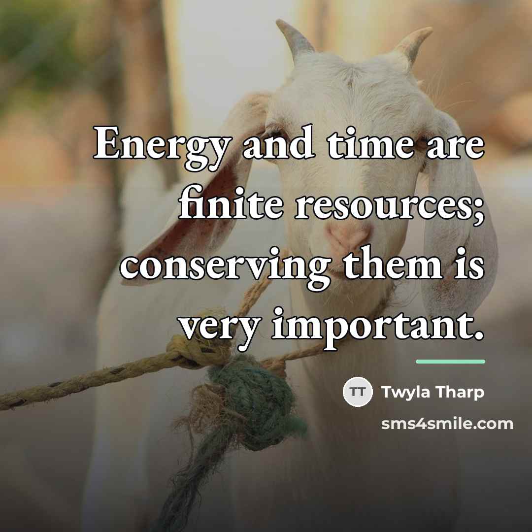 “Energy and time are finite resources; conserving them is very…” quote by Twyla Tharp