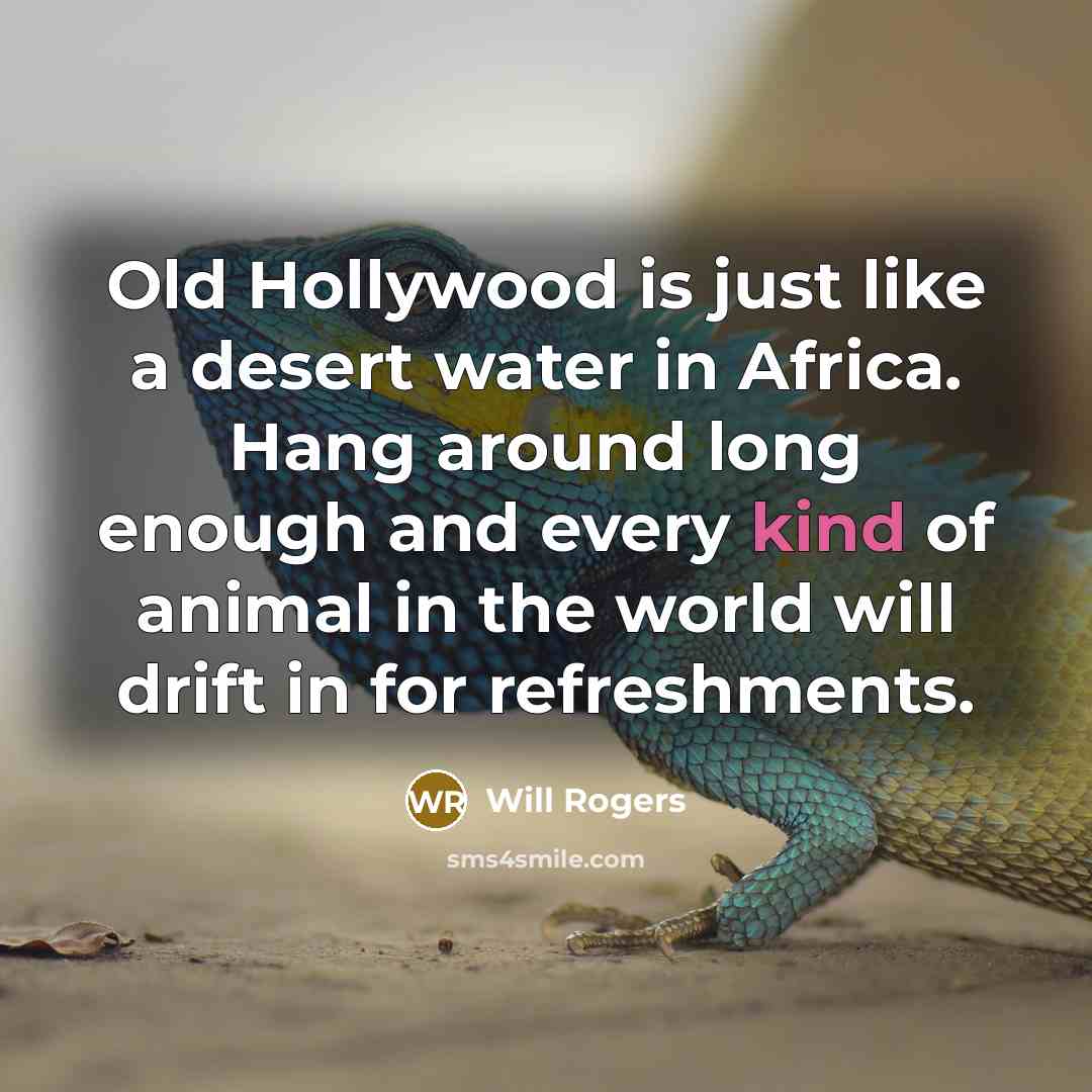 “Old Hollywood is just like a desert water in Africa.…” quote by Will Rogers