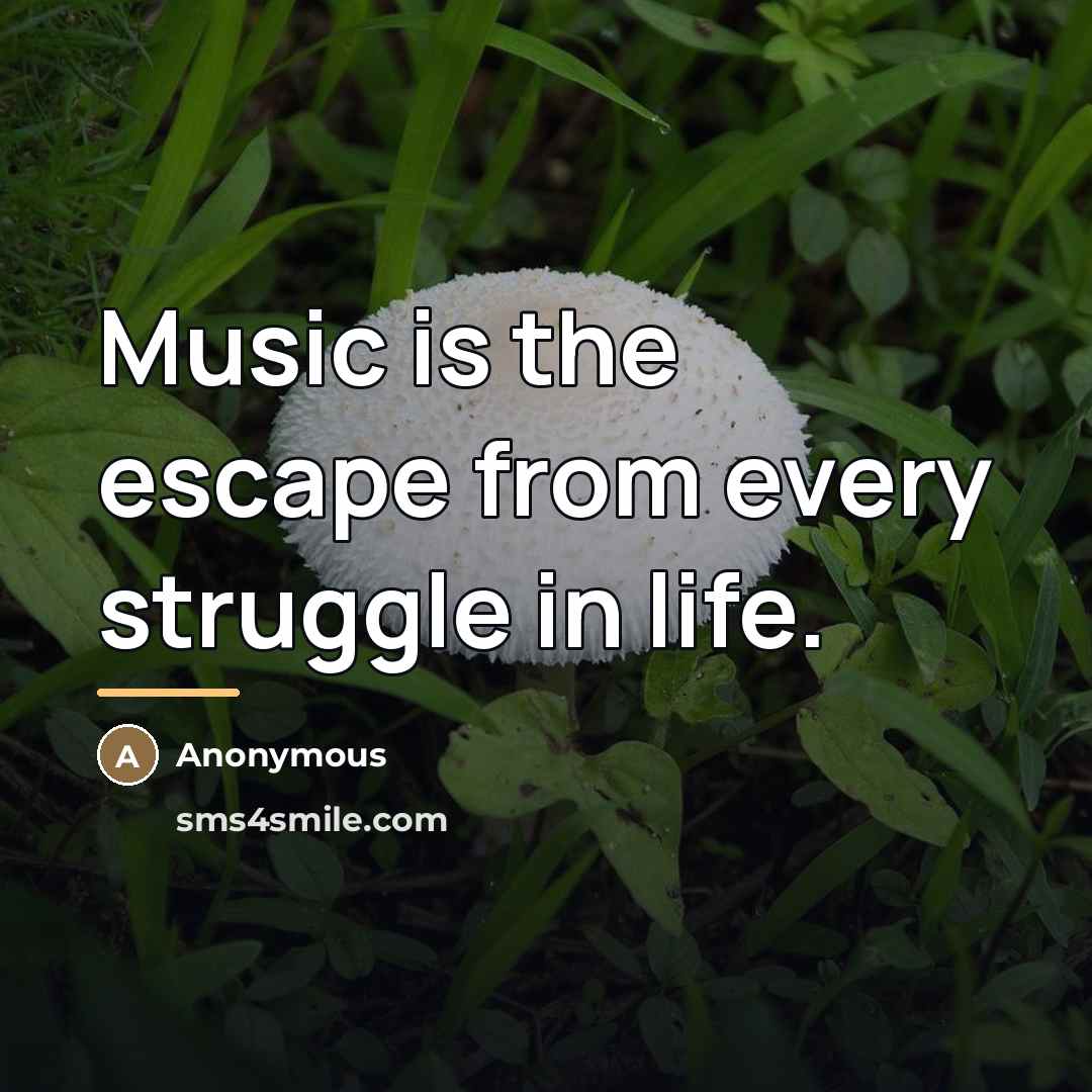 “Music is the escape from every struggle in life.…” quote by Anonymous