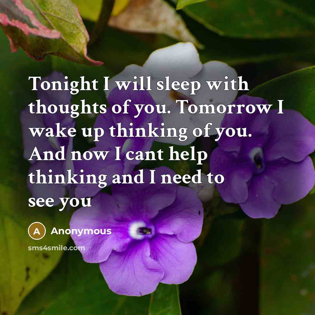 “Tonight I will sleep with thoughts of you. Tomorrow I wake up thinking of you. And now I cant help thinking and I need to see you” quote by Anonymous