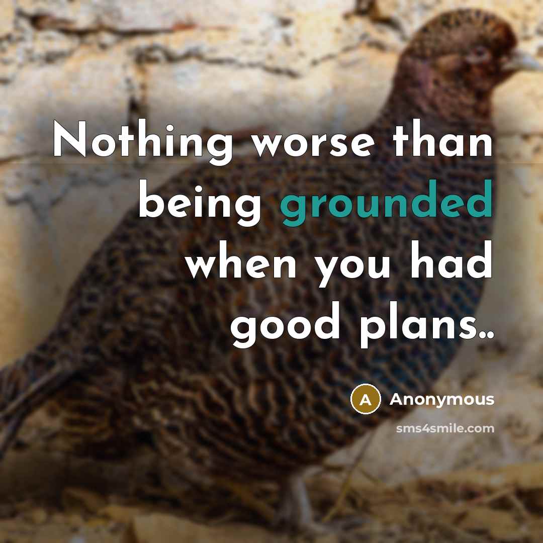 “Nothing worse than being grounded when you had good plans..…” quote by Anonymous
