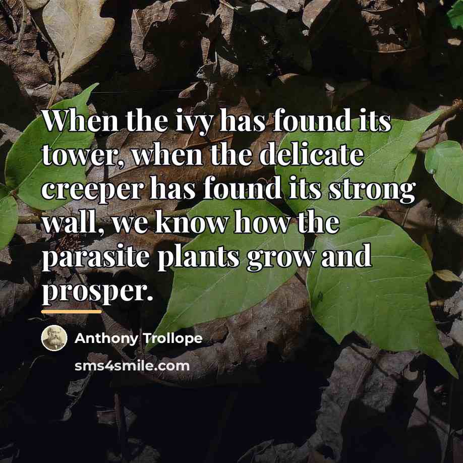 “When the ivy has found its tower, when the delicate…” quote by Anthony Trollope