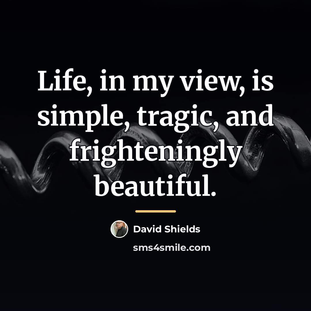“Life, in my view, is simple, tragic, and frighteningly beautiful.…” quote by David Shields