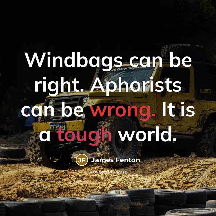 “Windbags can be right. Aphorists can be wrong. It is…” quote by James Fenton