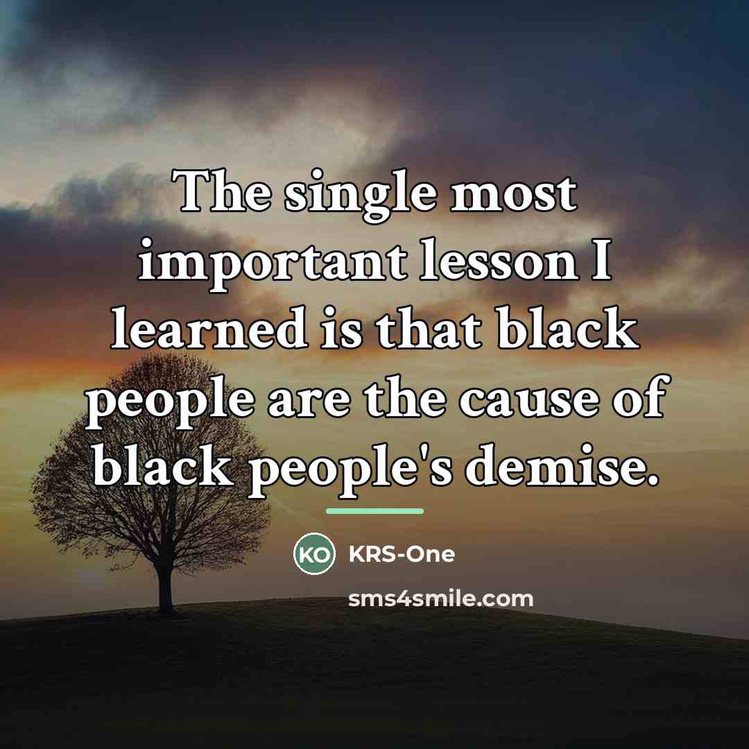 “The single most important lesson I learned is that black…” quote by KRS-One
