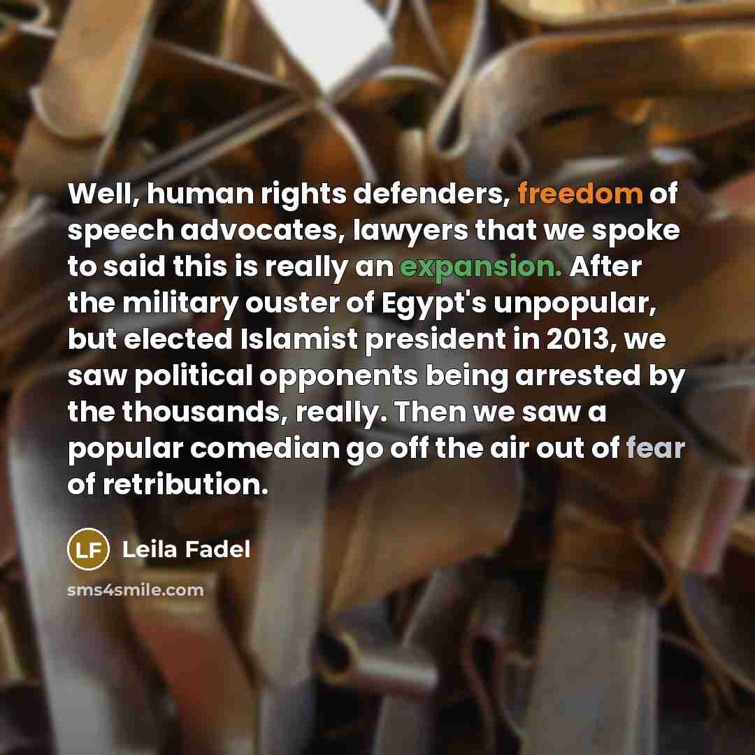 “Well, human rights defenders, freedom of speech advocates, lawyers that…” quote by Leila Fadel