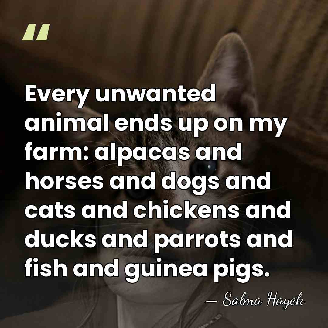 Every unwanted animal ends up on my farm: alpacas and horses and&hellip; - Salma Hayek