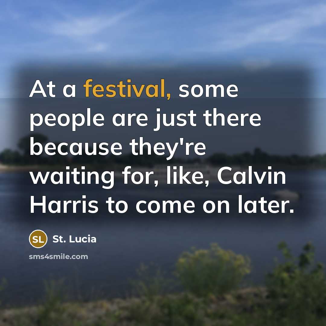 “At a festival, some people are just there because they're…” quote by St. Lucia