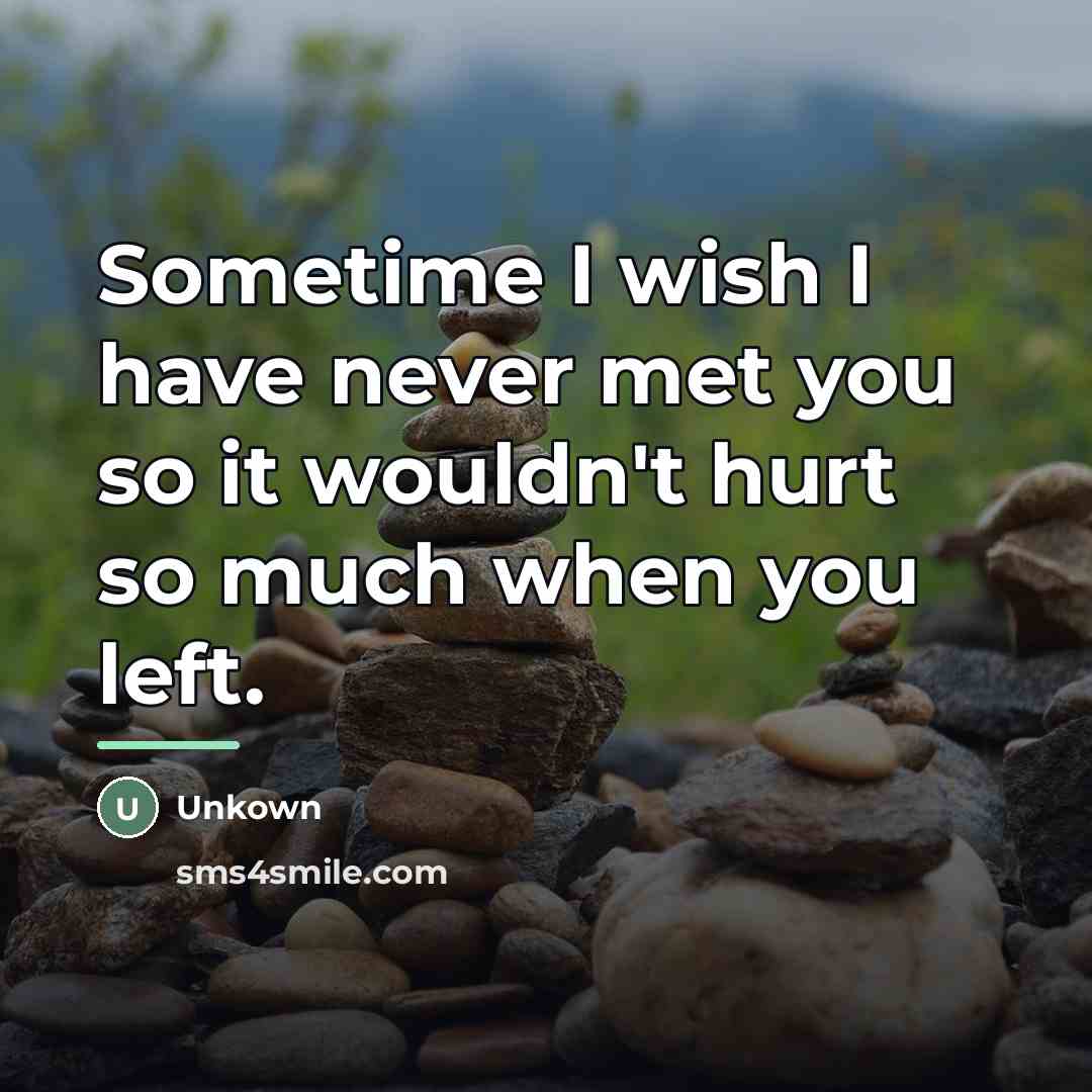 “Sometime I wish I have never met you so it…” quote by Unkown