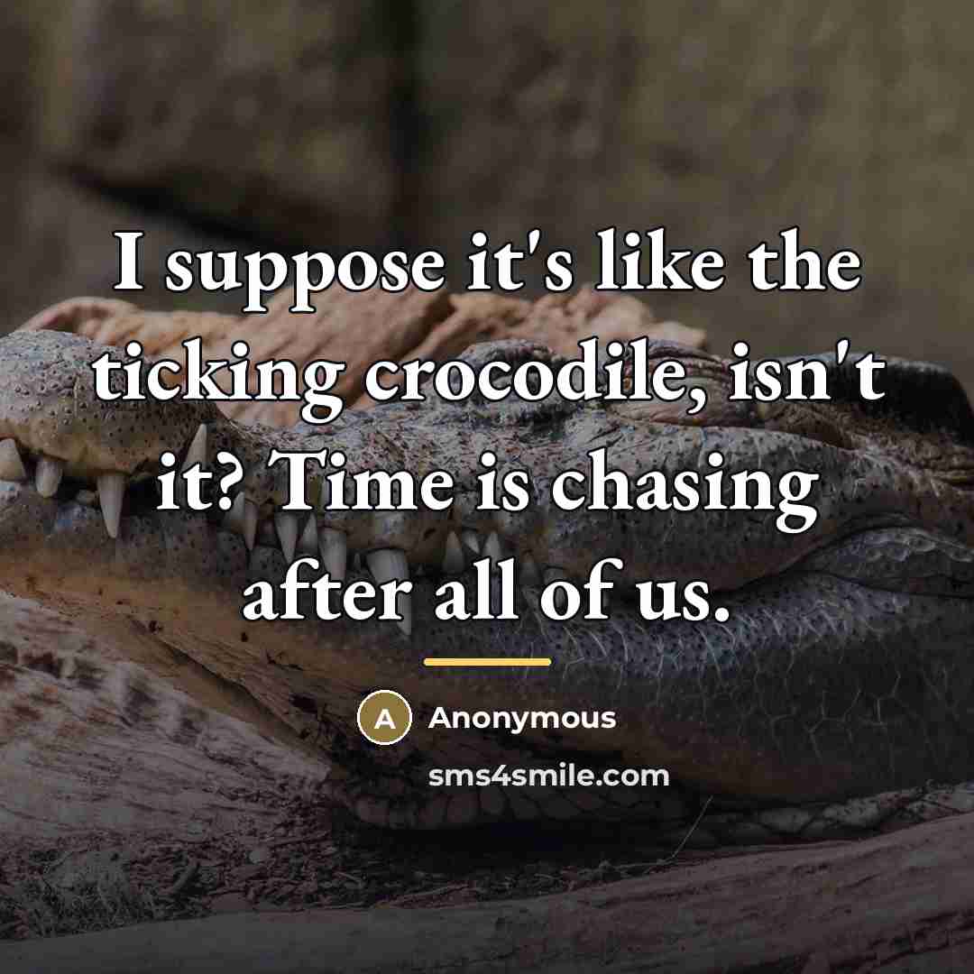 “I suppose it's like the ticking crocodile, isn't it? Time…” quote by Anonymous
