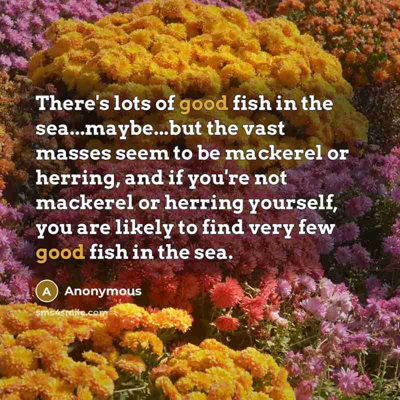 “There's lots of good fish in the sea...maybe...but the vast masses seem to be mackerel or herring, and if you're not mackerel or herring yourself, you are likely to find very few good fish in the sea.” quote by Anonymous