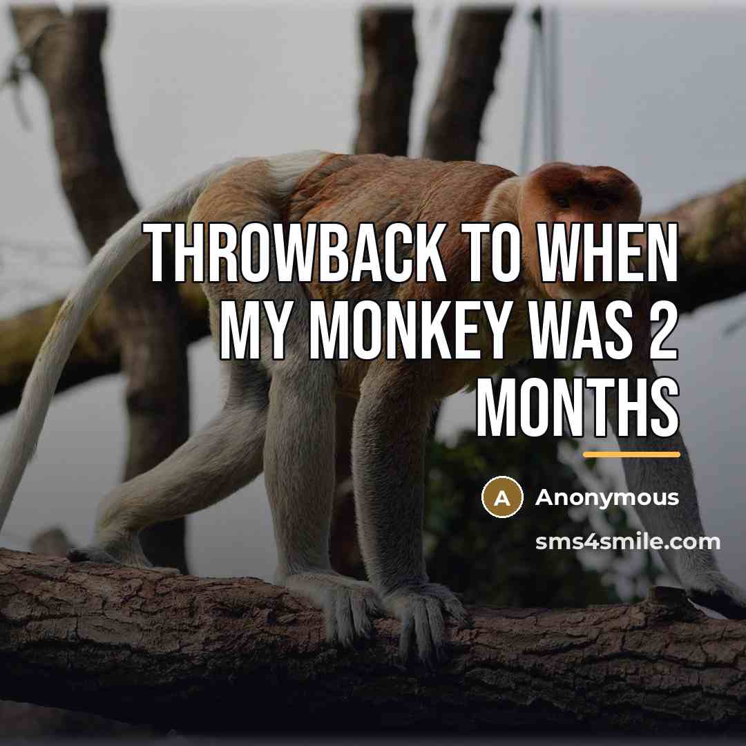 “Throwback to when my monkey was 2 months…” quote by Anonymous