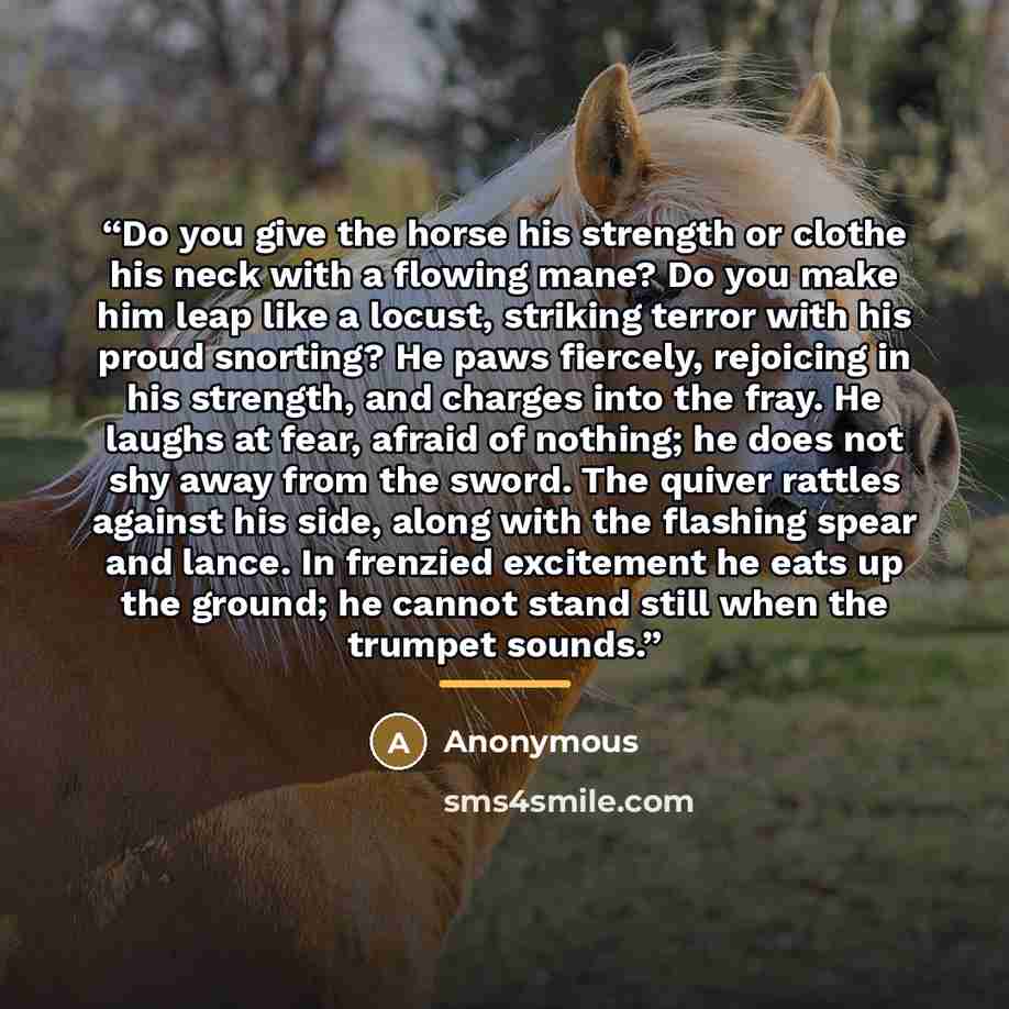 “Do you give the horse his strength or clothe his neck with a flowing mane? Do you make him leap like a locust, striking terror with his proud snorting? He paws fiercely, rejoicing in his strength, and charges into the fray. He laughs at fear, afraid of nothing; he does not shy away from the sword…” quote by Anonymous