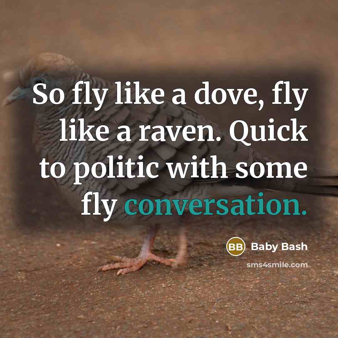 “So fly like a dove, fly like a raven. Quick…” quote by Baby Bash
