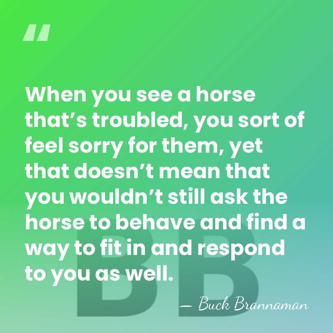 When you see a horse that’s troubled, you sort of feel sorry&hellip; - Buck Brannaman