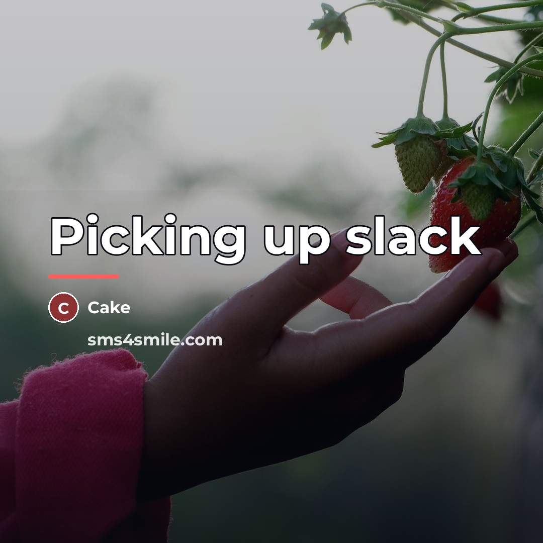 “Picking up slack…” quote by Cake