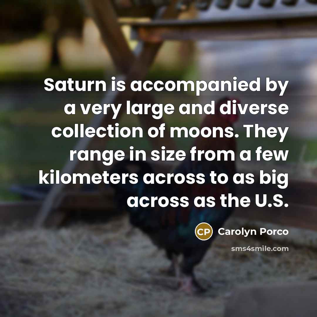 “Saturn is accompanied by a very large and diverse collection…” quote by Carolyn Porco