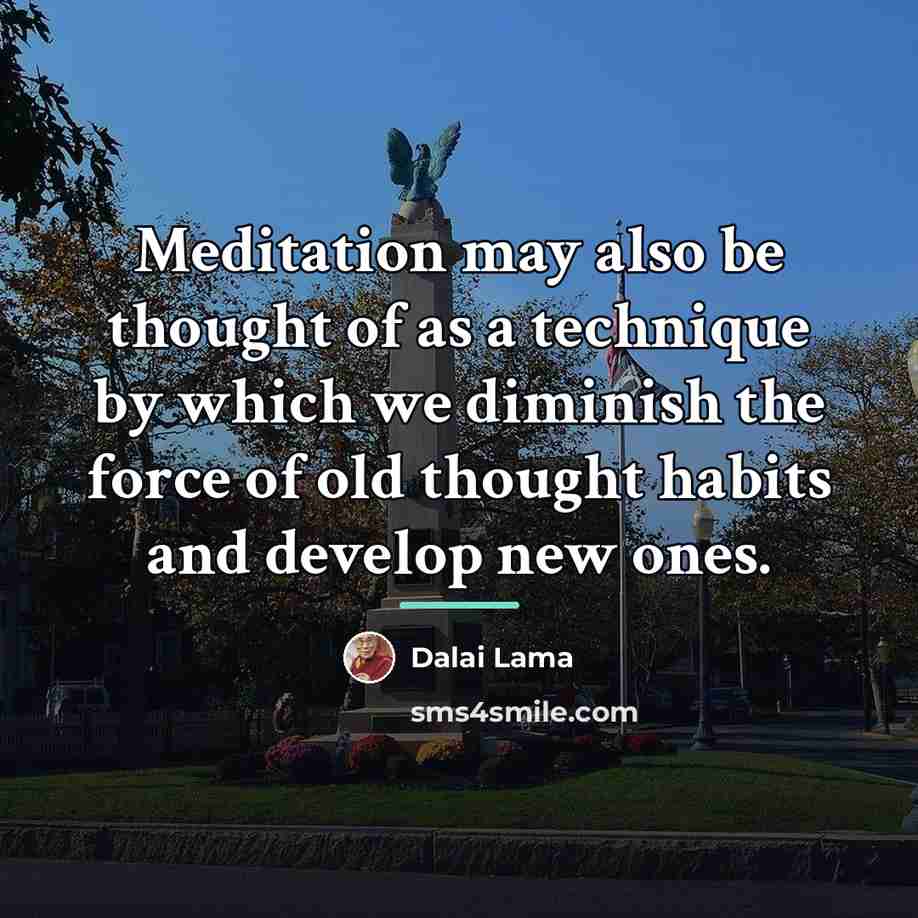 “Meditation may also be thought of as a technique by…” quote by Dalai Lama