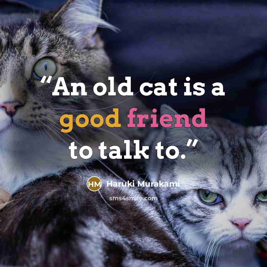 “An old cat is a good friend to talk to.” quote by Haruki Murakami