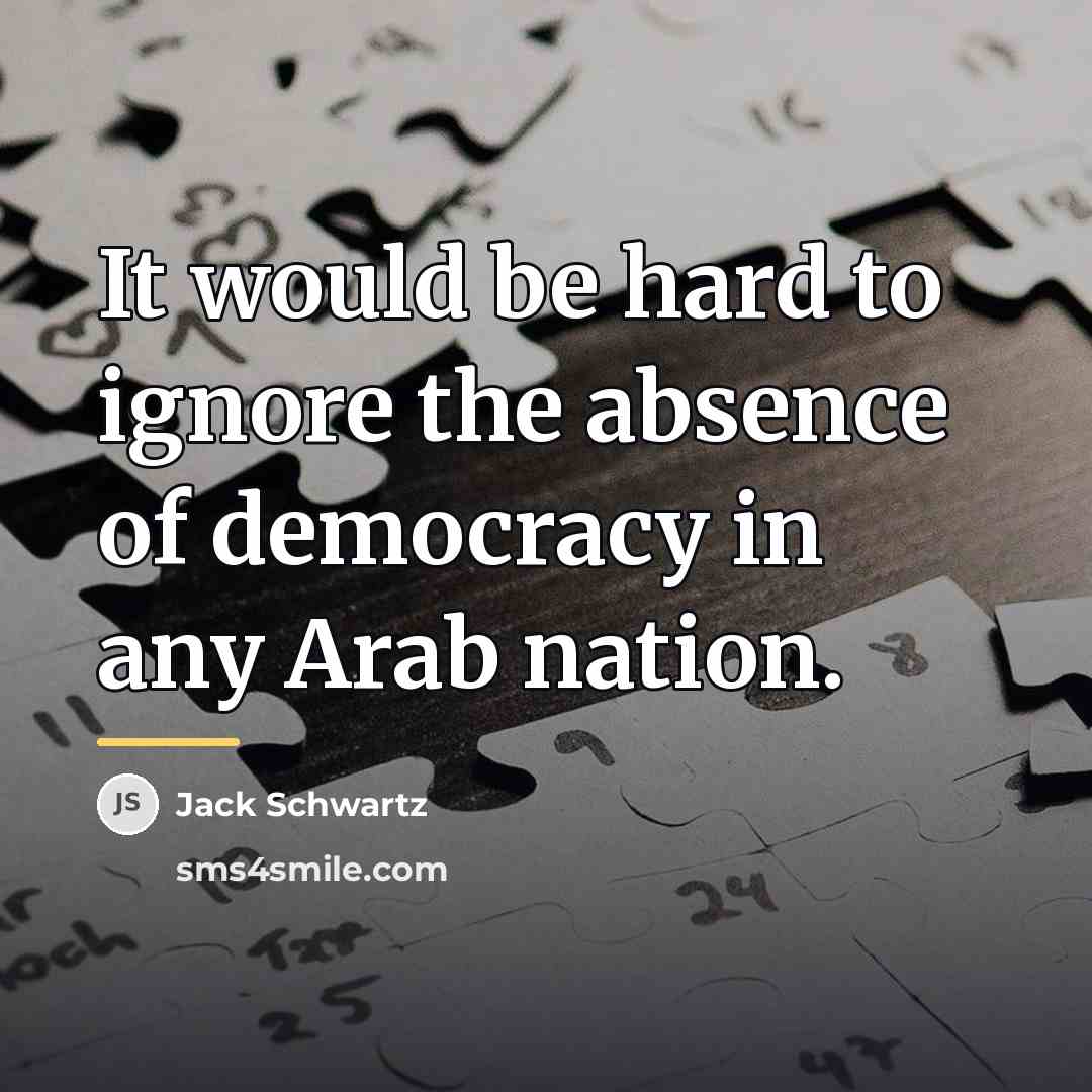 “It would be hard to ignore the absence of democracy…” quote by Jack Schwartz