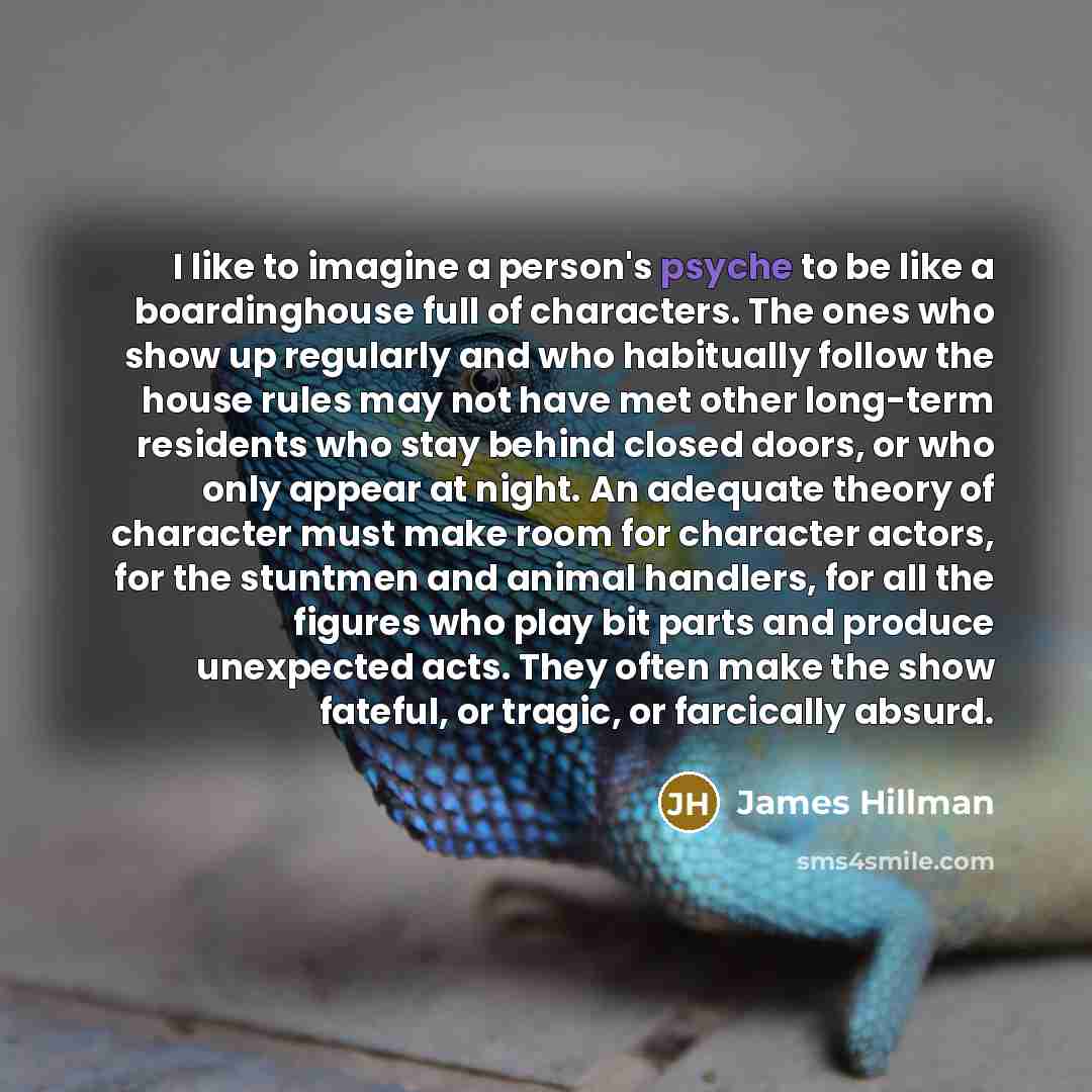 “I like to imagine a person's psyche to be like…” quote by James Hillman