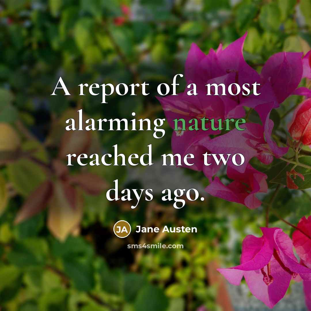 “A report of a most alarming nature reached me two…” quote by Jane Austen