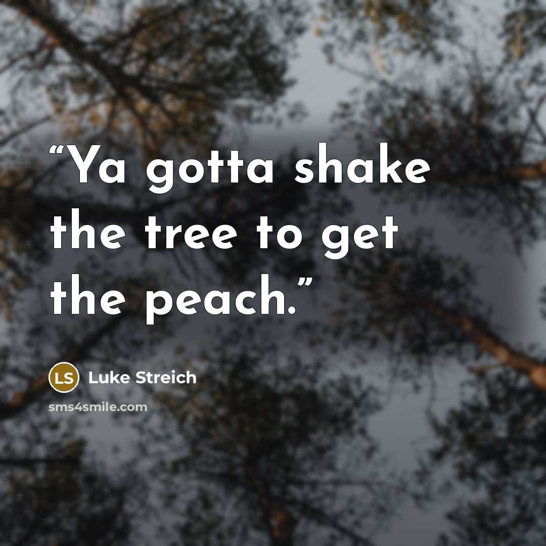 “Ya gotta shake the tree to get the peach.” quote by Luke Streich