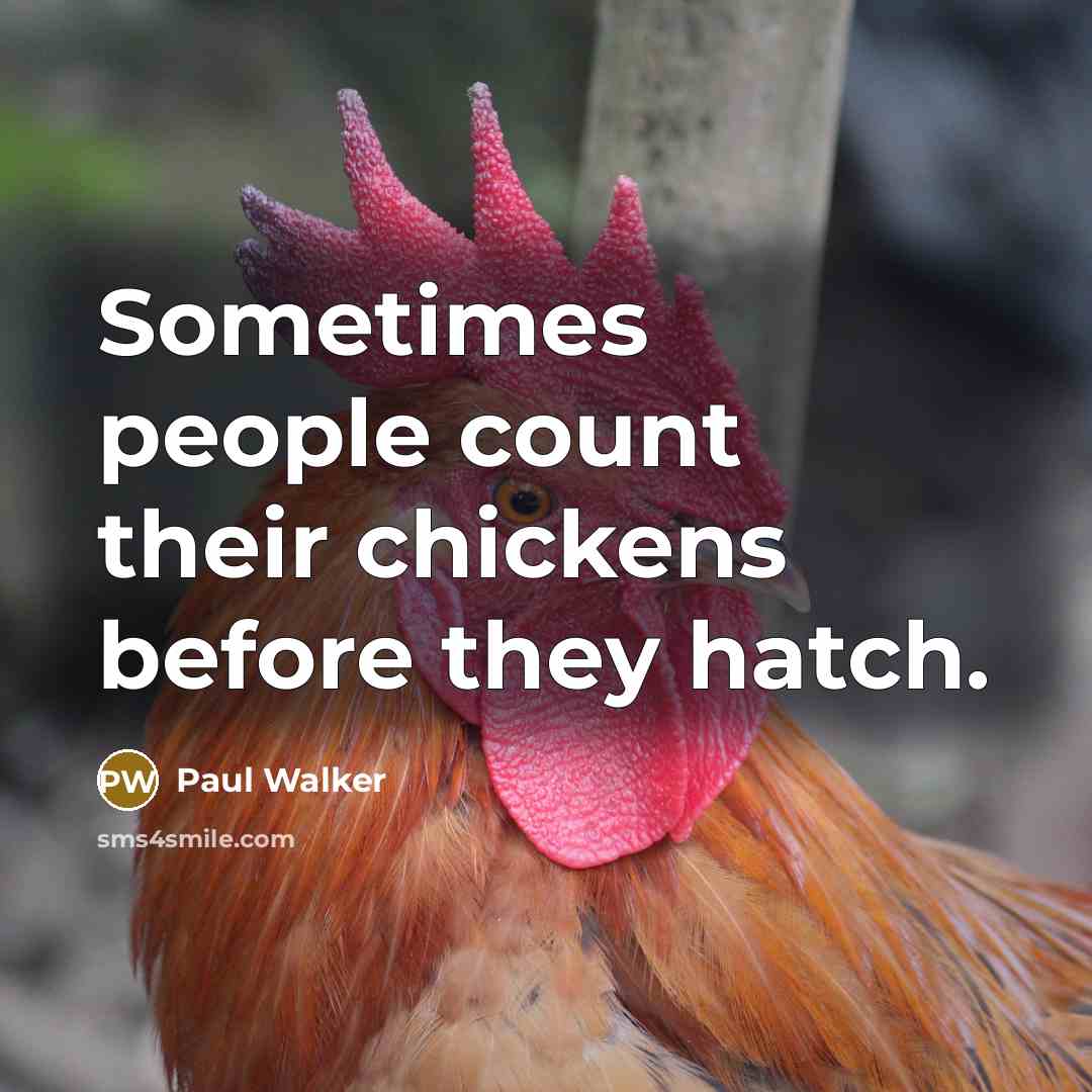 “Sometimes people count their chickens before they hatch.” quote by Paul Walker