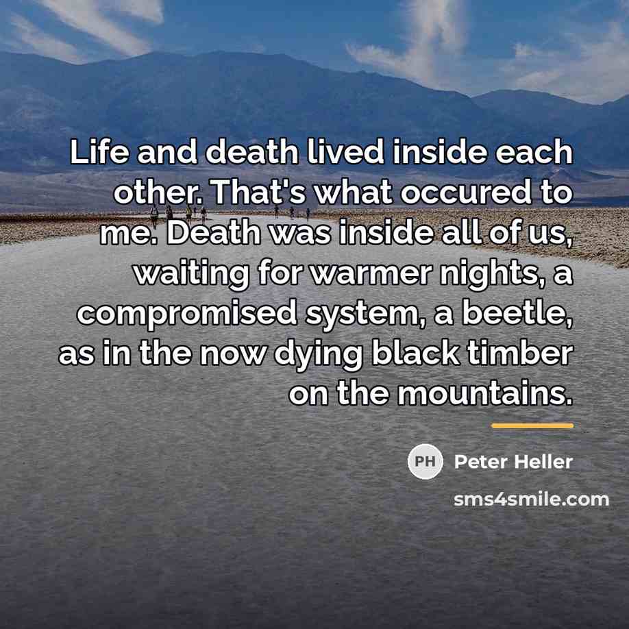 “Life and death lived inside each other. That's what occured…” quote by Peter Heller