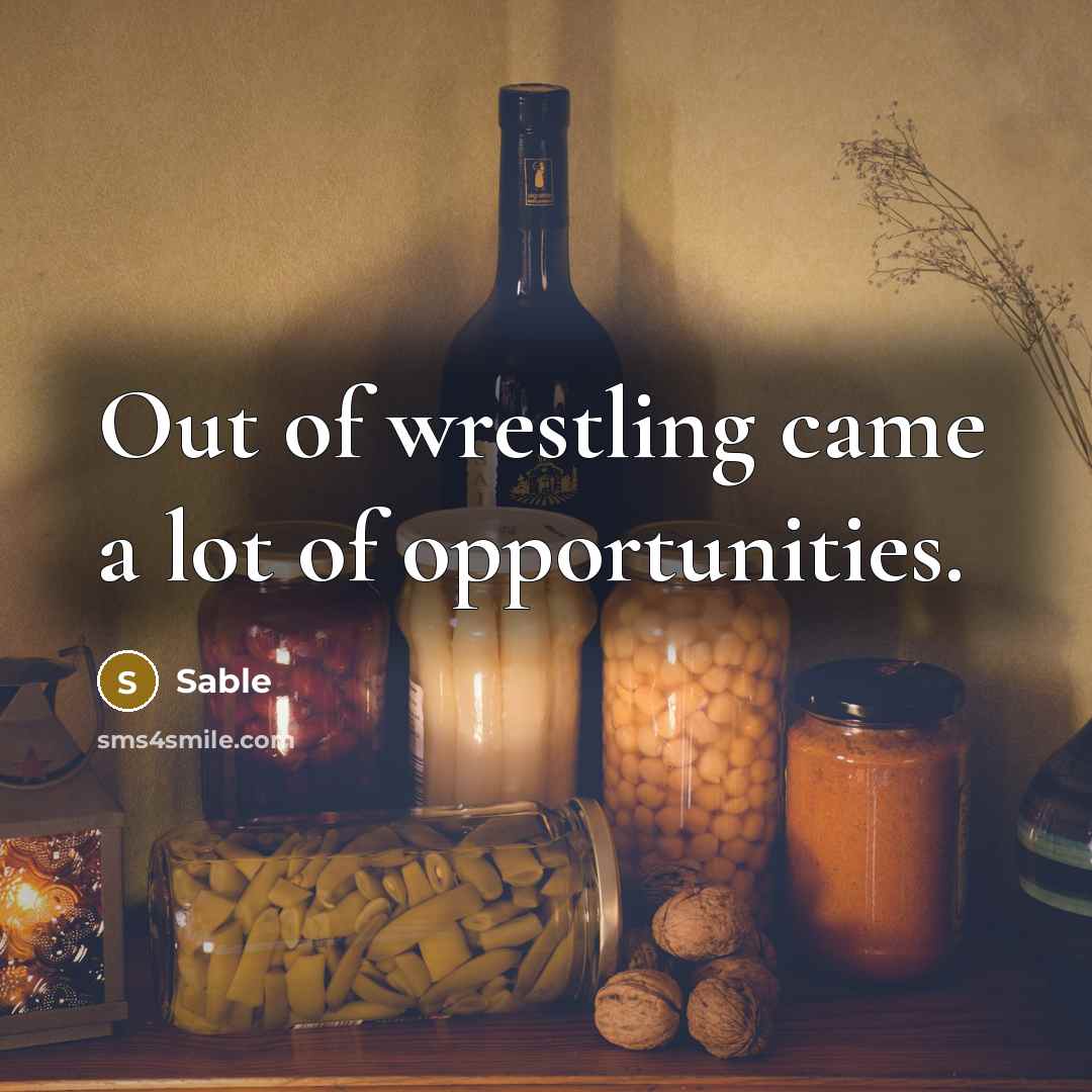 “Out of wrestling came a lot of opportunities.…” quote by Sable