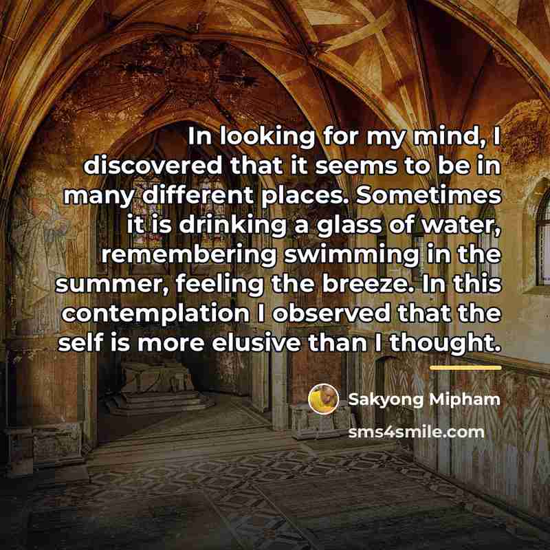 “In looking for my mind, I discovered that it seems…” quote by Sakyong Mipham