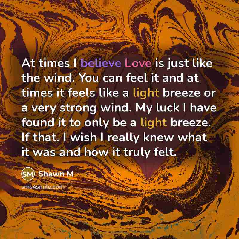“At times I believe Love is just like the wind. You can feel it and at times it feels like a light breeze or a very strong wind. My luck I have found it to only be a light breeze. If that. I wish I really knew what it was and how it truly felt.” quote by Shawn M